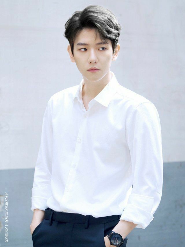 Abu Dhabi ~ the United Arab Emirates