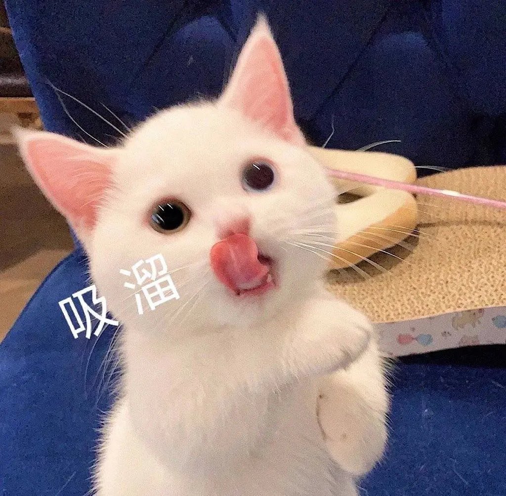 fuguier4's tweet photo. 胖了六斤的贵 https://t.co/UhZYaNPDrU