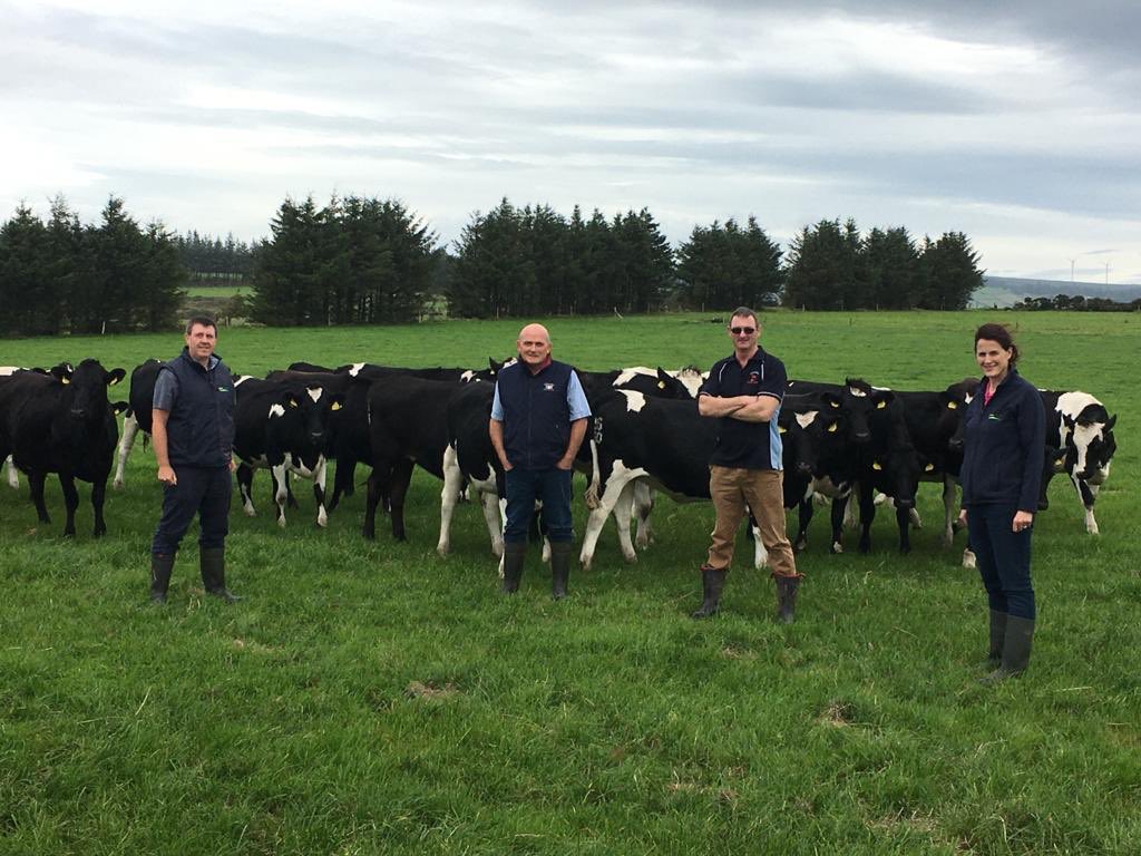 DairygoldJP's tweet photo. Join us for an online live farm walk next Thursday 17th September 10.30am on monitor farmer Jimmy Cotter @richardcotter99 to hear how sustainability is key to his dairy farm https://t.co/sf0Y9jc7BO @teagasc https://t.co/AvYbWuTS6f