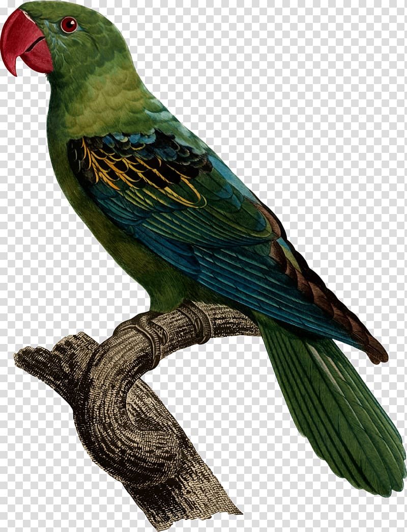 ✪ ᔆᴼᴸᵀᴬᴺ tweet media