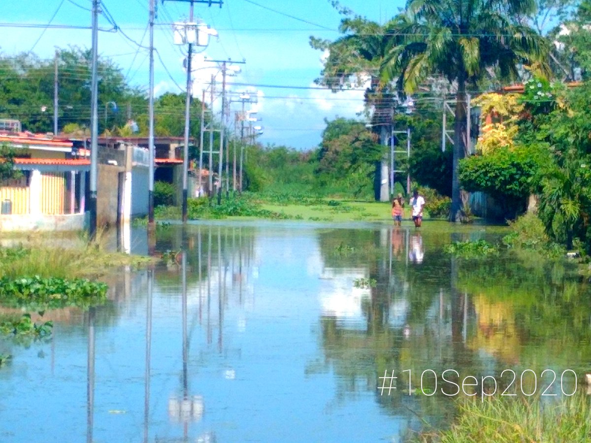 AlvaroMitrotti's tweet photo. ACTUALIZACIÓN: #10Sep2020

A propósito de la nueva Tragedia en El Limón, debo recordarle a @MarcoTorresPSUV que toda esa agua desbordada ayer va para el sur de #Maracay.

Me parece excelente que manden para El Limón hasta al ejército, pero en #MataRedonda ni un vigilante. https://t.co/H7bHRR2PLw