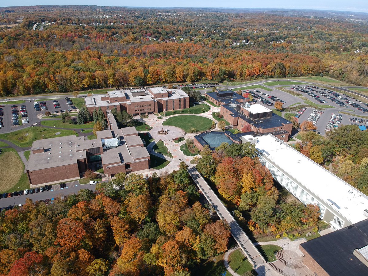 Debra Barney Dbarney12 Twitter