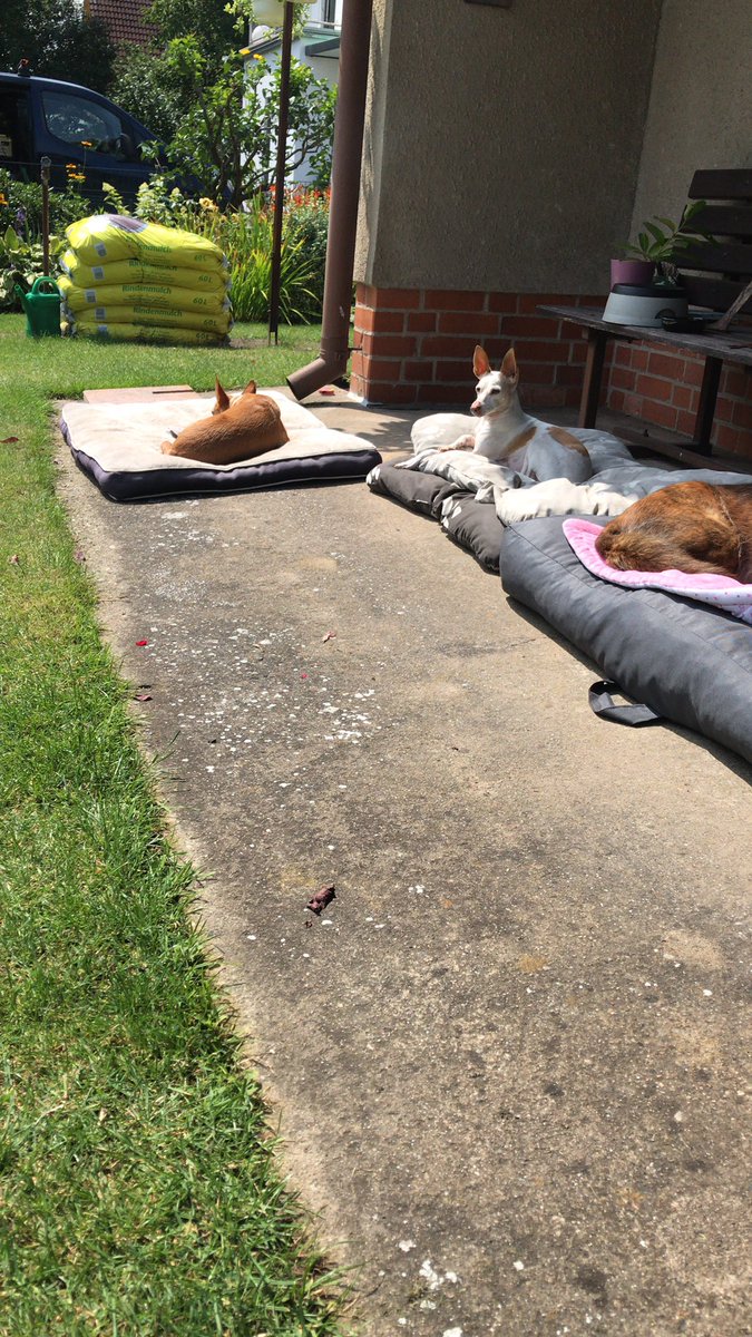 Susanne Simsch tweet media