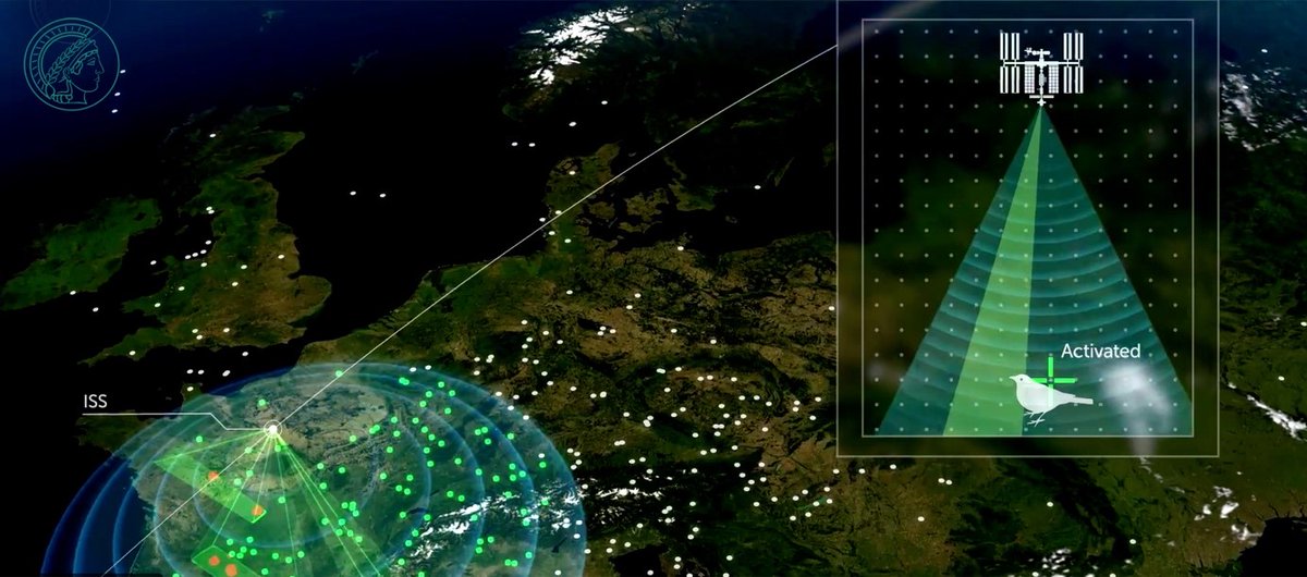 SpaceTech GmbH (@spacetechsti) on Twitter photo ICARUS works like a charm! A long, sometimes stony way, lays behind #ICARUSinitiative. We are looking forward to groundbreaking animal science and hopefully more ICARUS and IoT systems in space soon.<a href="/animaltracking/">Migration Dept., Max Planck Inst. Animal Behavior</a> #SMS2Space #NewWays4Space ICARUS works like a charm! A long, sometimes stony way, lays behind #ICARUSinitiative. We are looking forward to groundbreaking animal science and hopefully more ICARUS and IoT systems in space soon.<a href="/animaltracking/">Migration Dept., Max Planck Inst. Animal Behavior</a> #SMS2Space #NewWays4Space
