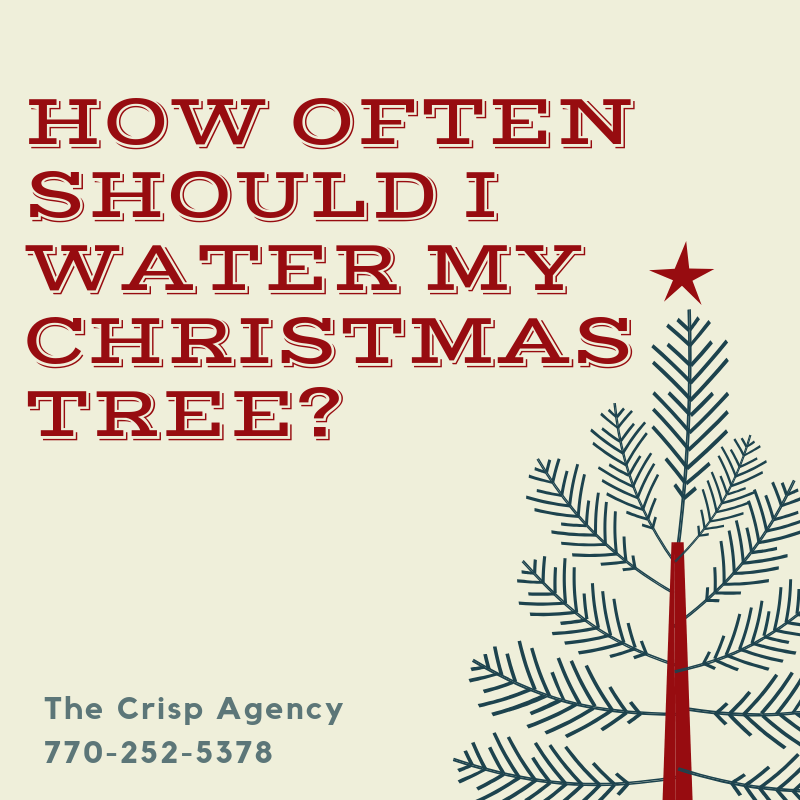 TheCrispAgency's tweet photo. How often should I water my Christmas tree?
Check out the answer here along with other care tips too: https://t.co/iDSxE8SWrS #Christmas #ChristmasTreeCare #RealChristmasTree #ChristmasDecorations #MerryChristmas #Coweta #Fayette #Newnan #Sharpsburg #Senoia #PeachtreeCity #Alfa https://t.co/ZoZQXosGm8