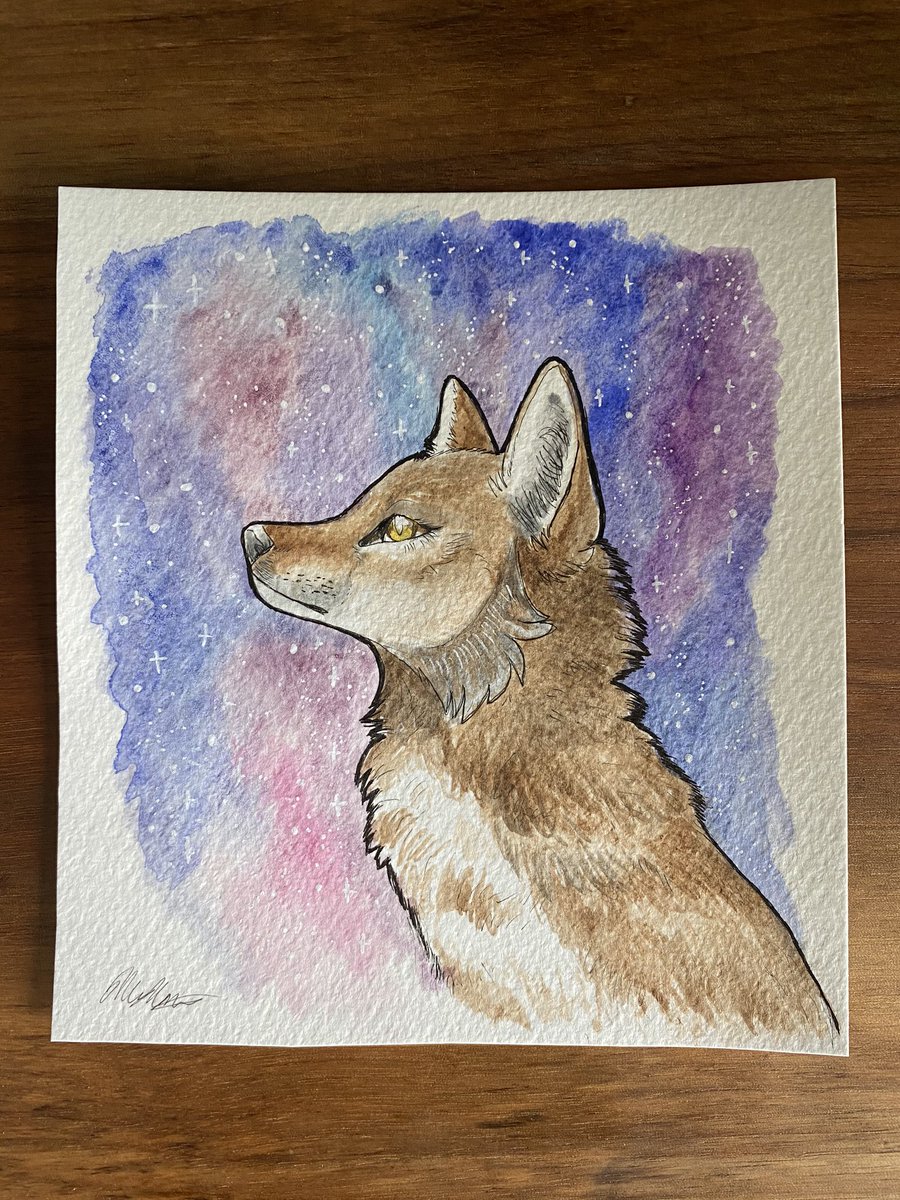 hotcacaobean's tweet photo. I literally never do anything on here, but here’s something I painted last night to remedy that ♡︎

#furryart #furry #watercolorpainting #wolfart #oc #fursona #art #furryartist https://t.co/AUKA13Poqe
