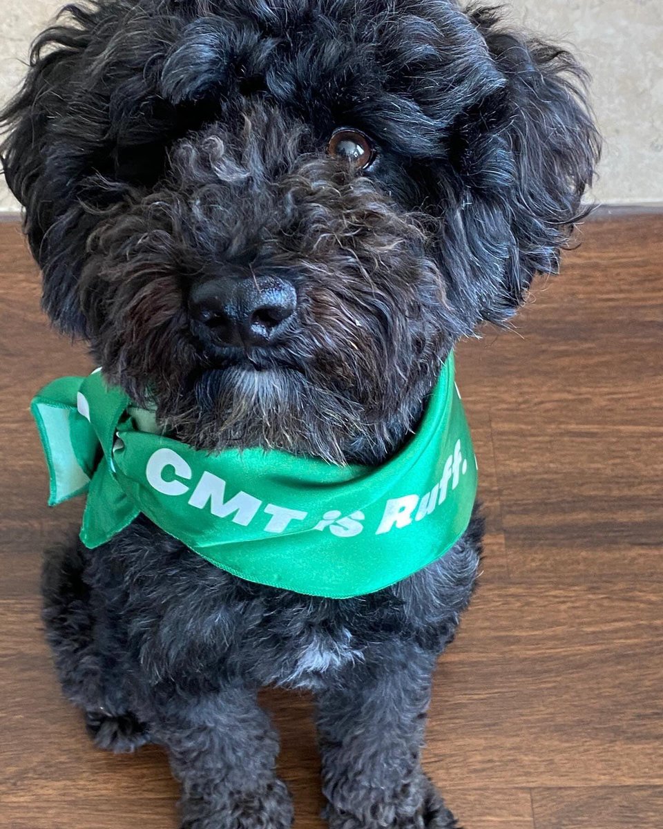 CMTNeuropathy's tweet photo. Take a bite out of CMT with our #CMTISRUFF Bandanas! 🐶
Order before 9/21 to receive in time for our virtual dog walk 9/25-26th! Tag your pup to win our CMT photo contest! #cmtwegotthis #cmtdogwalk
https://t.co/t2Yjm6u19z https://t.co/L6xQe4SiMc