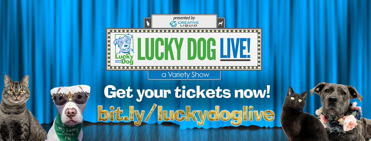 Dogma Dog Bakery tweet media