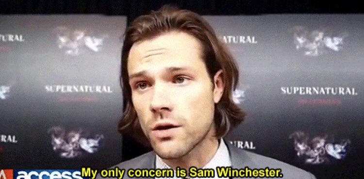 can’t find the interview but. just. this one line / screencap is enough 