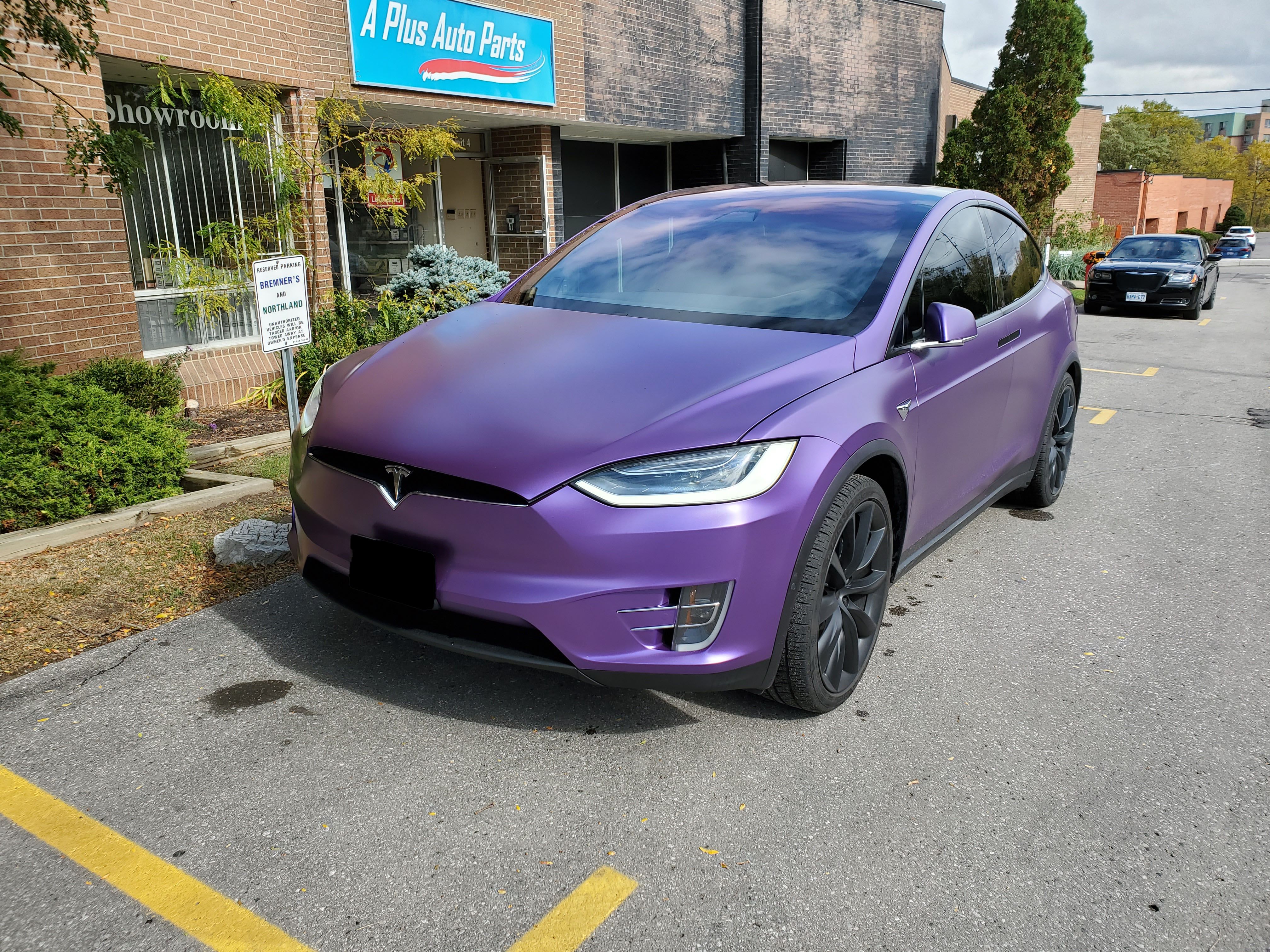 Purple on sale model x