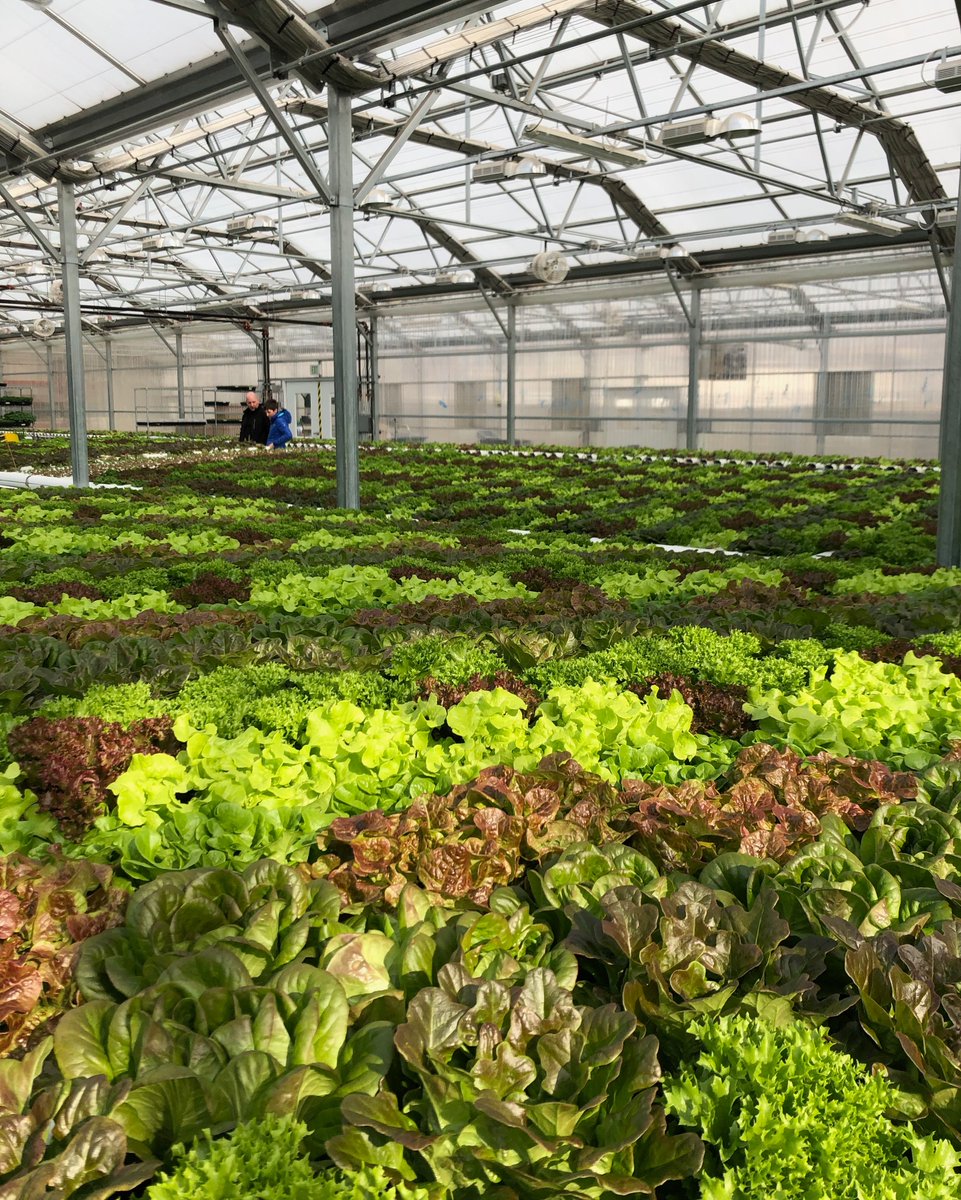AmHydro's tweet photo. "To make agriculture sustainable, the grower has got to be able to make a profit." -Sam Farr https://t.co/A4VtLNfaLx