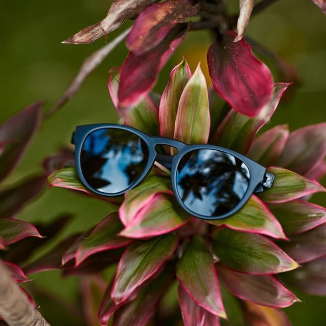 MarchonEyewear's tweet photo. Style meets sustainability. The Opus frame from Dragon's Plant-Based Resin collection is crafted from sustainably grown castor beans, giving you a strong, light, and durable frame that is as easy on the eyes as it is on the planet. ๐ฟ #PlantBasedResin
๐ท from @DragonAlliance https://t.co/fTpZfaBC3o