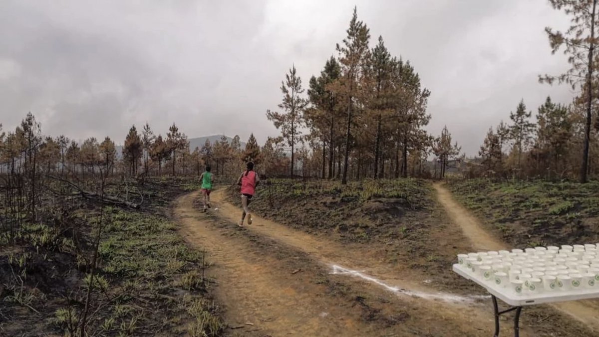MalawiTravel's tweet photo. Only two days left of the #Run4Reforestation ๐โโ๏ธ๐ฒ
Participants across #Malawi and beyond are taking part this week in the eco-conscious event to support #Zomba's efforts to fight deforestation.
@ZombaForest
https://t.co/epKU9McPDk https://t.co/TOBaEtNaNB