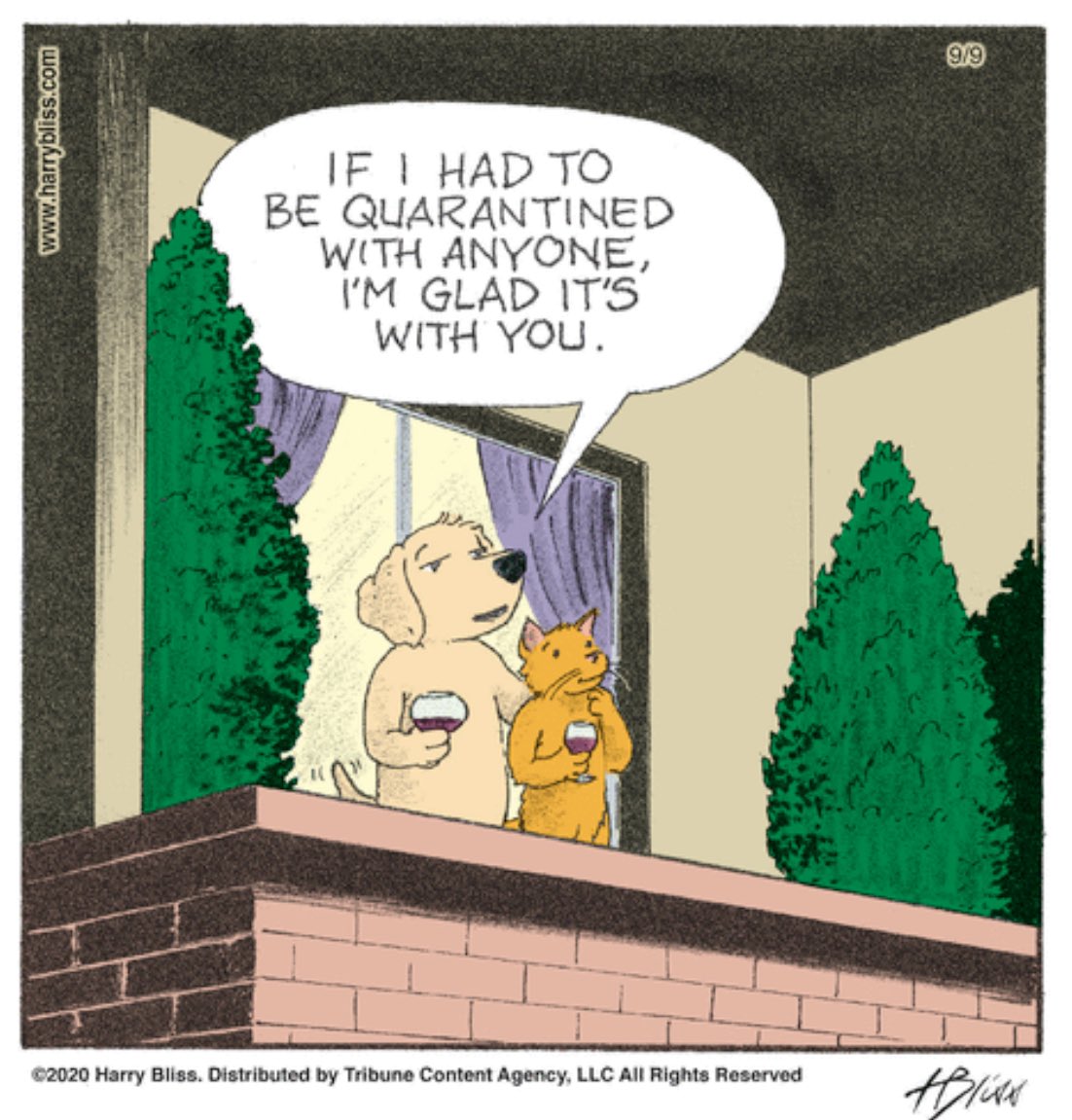 Hah! (Another Awwww ...)