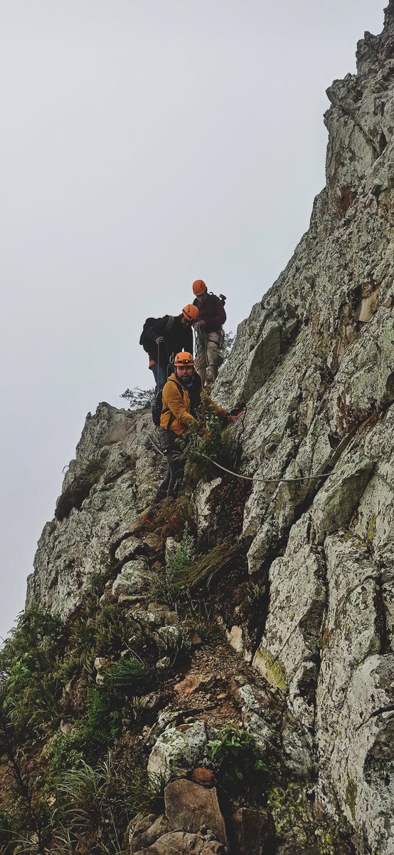 PASIONXQRO_'s tweet photo. 😎☝🏼Tienen que ver nuestra tima aventura escalando la Peña de Bernal con nuestros amigos de Bernal Adventures aquí: https://t.co/ea7LDewhEh https://t.co/UBmm9G9EQH