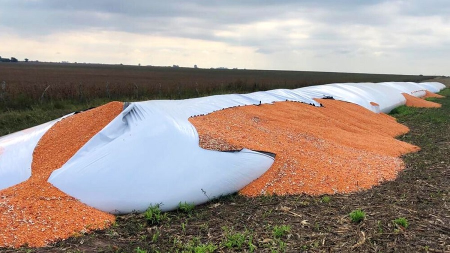 SignalsIoT's tweet image. #Argentina @nodosud, organización de cooperativas, se unió con @wiagro_ar, abocada a #IoT para el sector agropecuario, y con @grupodatco para desplegar monitoreo de silobolsas para acceder a la información de la conservación de la cosecha en tiempo real
signalsiot.com/argentina-nodo…