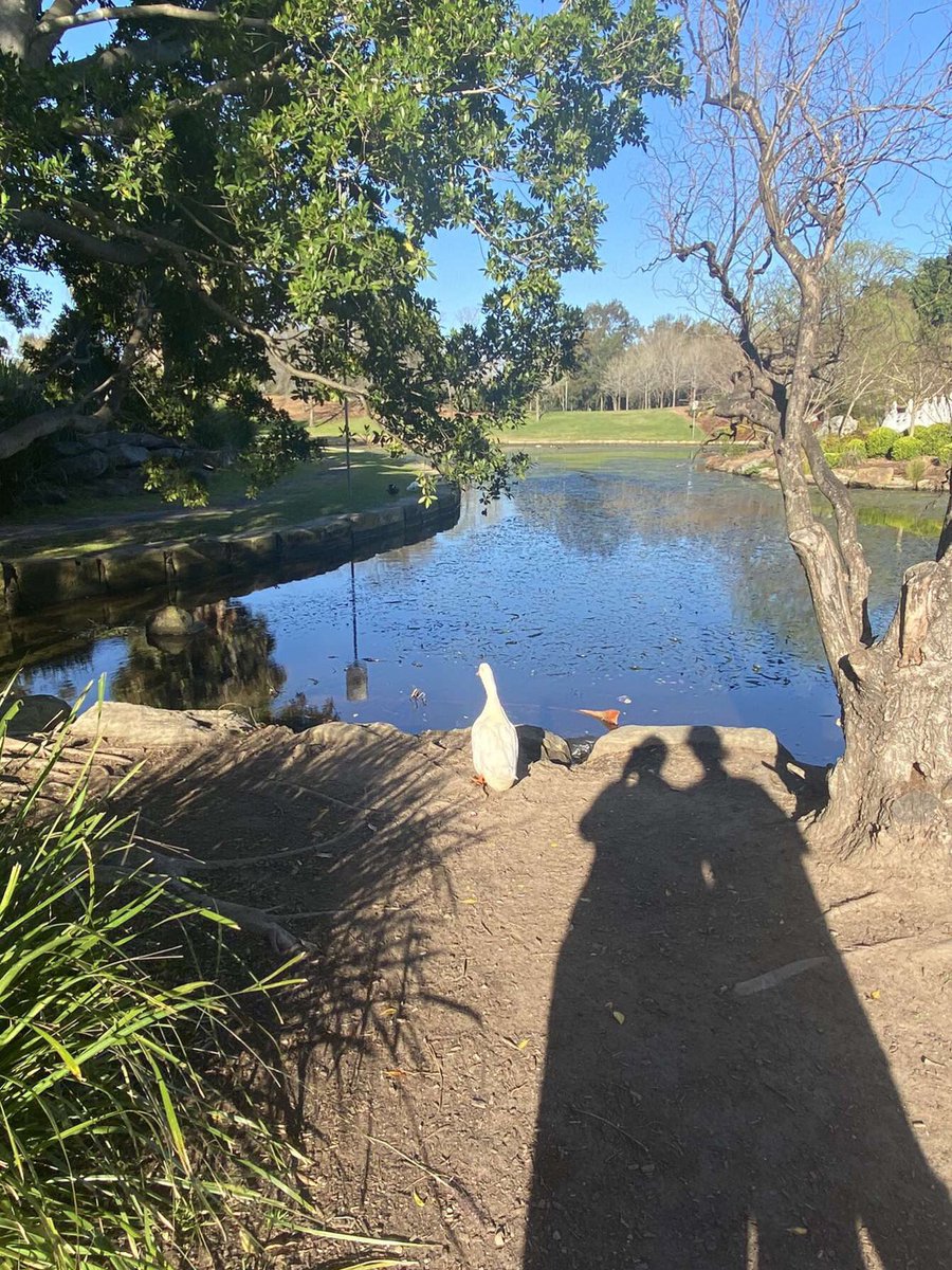 _Mitchyy_'s tweet photo. Such a lovely day at the park 👌🏻 https://t.co/4jjRCZ0ex1