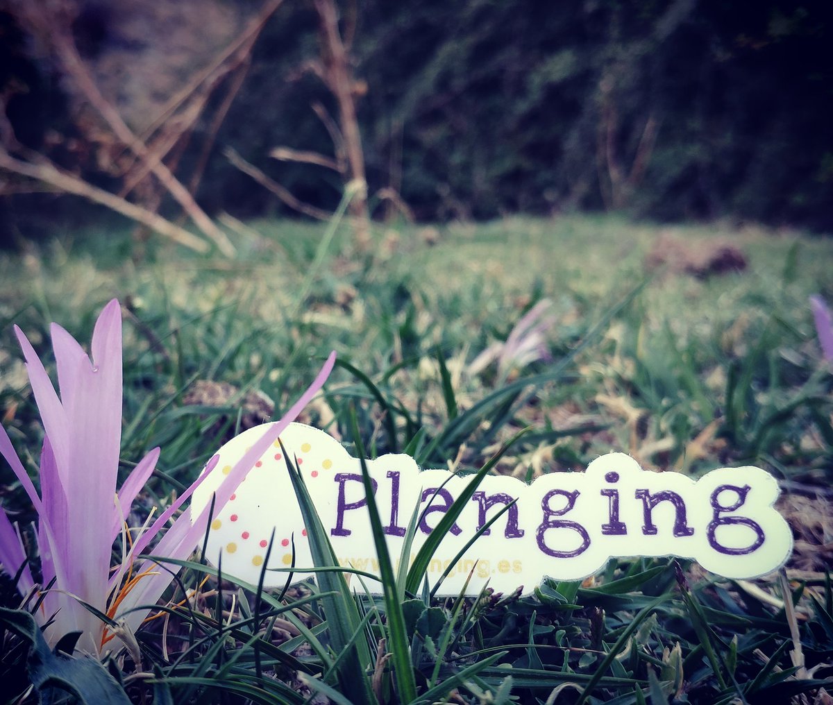 planging_es's tweet photo. #Planging #planazo #planesdefindesemana #planesgratismadrid #madrid #planesguays #planparaelfinde #conocergentenueva #conocergente #amigos #amigosmadrid #haceramigos #haceramigosnuevos #finde #findesemana #quehacer #quehacerenmadrid https://t.co/0KJONE5dqT