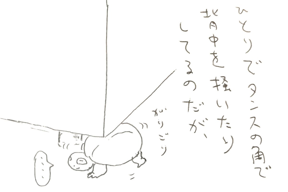 かめまんが(落書き)1/2 ?
今日は殊に作画が酷いです
申し訳ありません???
#クサガメ #かめ太 