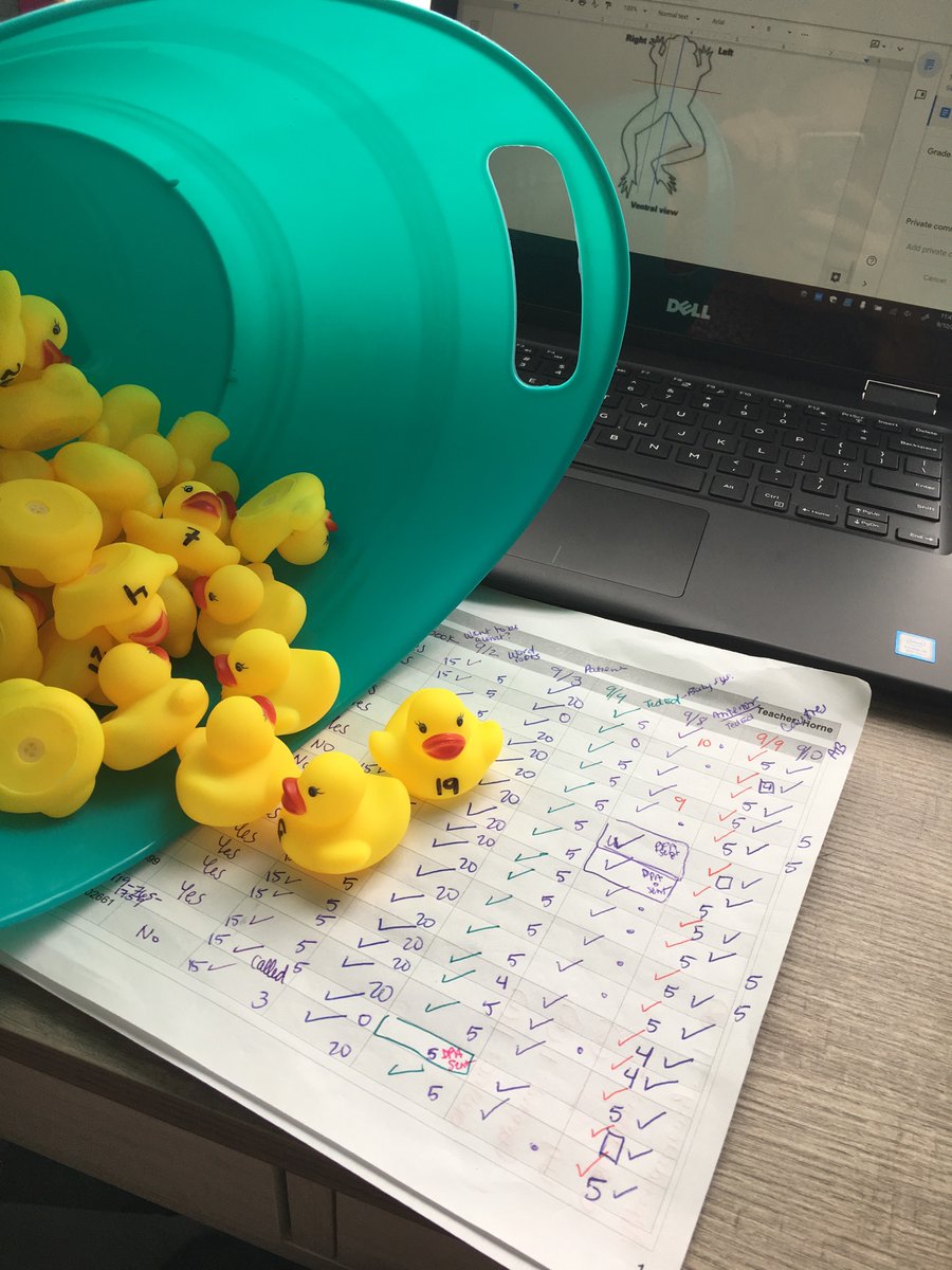 CatMomWV's tweet photo. Lucky Ducks! Randomly called on students today and it was so great to have participation. From. Every. Single. Person. @BlythewoodHigh @tlenker #MakingIdeasIntoReality #LifeAsAVirtualTeacher https://t.co/0QK3ucwn7Q