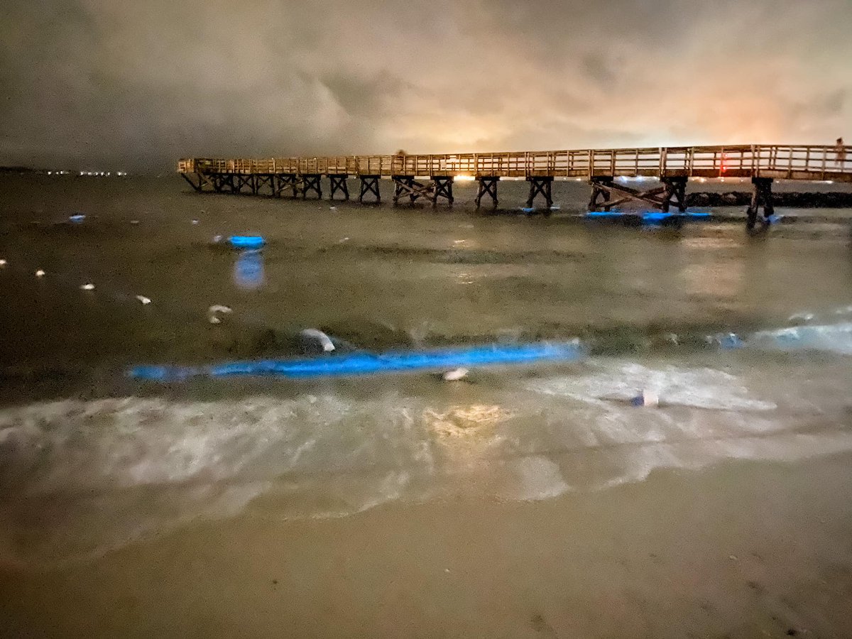 VisitYorktown's tweet photo. You have to see it to believe it! Last night we captured these photos of the York River glowing blue. What is it? Bioluminescent algae, which can be harmful to fish and oysters. And it's been spotted across our area. Read more here: https://t.co/hVJqedAY7w #glowingalgae #yorktown https://t.co/J4siQ29bOB