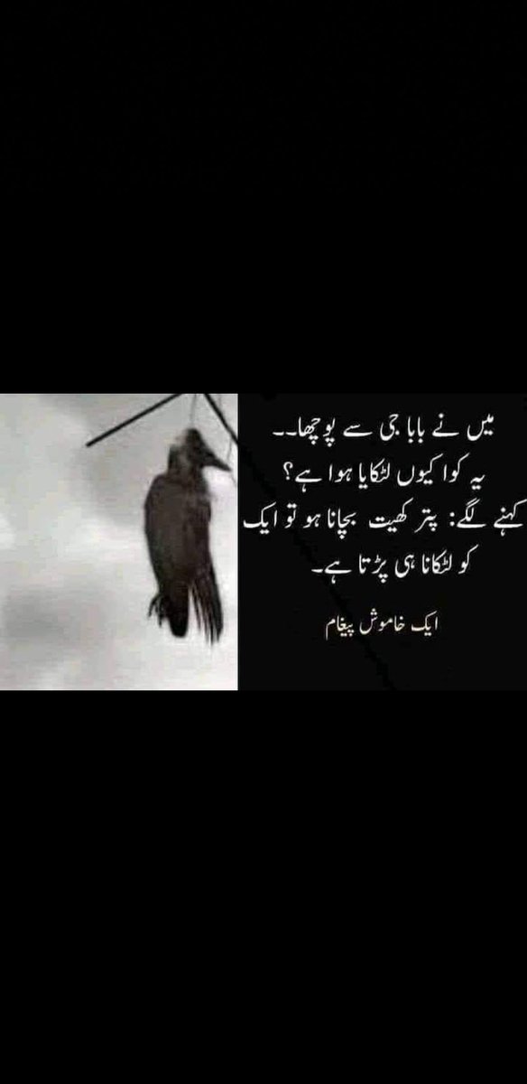 ShbabMughal's tweet photo. #Hangtherappist https://t.co/kL1SkTMMOm
