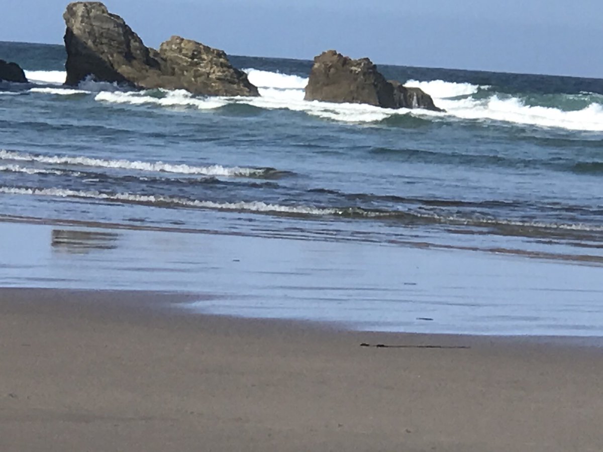 Purcell9Debbie's tweet photo. A visit to peranpourth 😎 https://t.co/TOdjkDjD3l