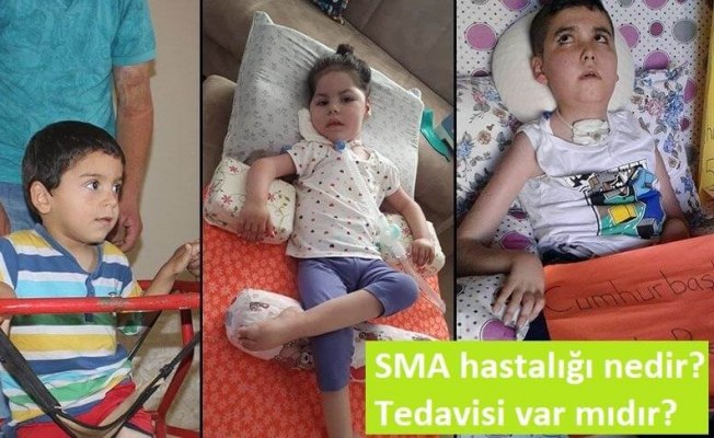 Akn72473873's tweet photo. bum hum bum bum bum bum

SmaHastalığının FarkındaOl https://t.co/47SrKFOV9B
