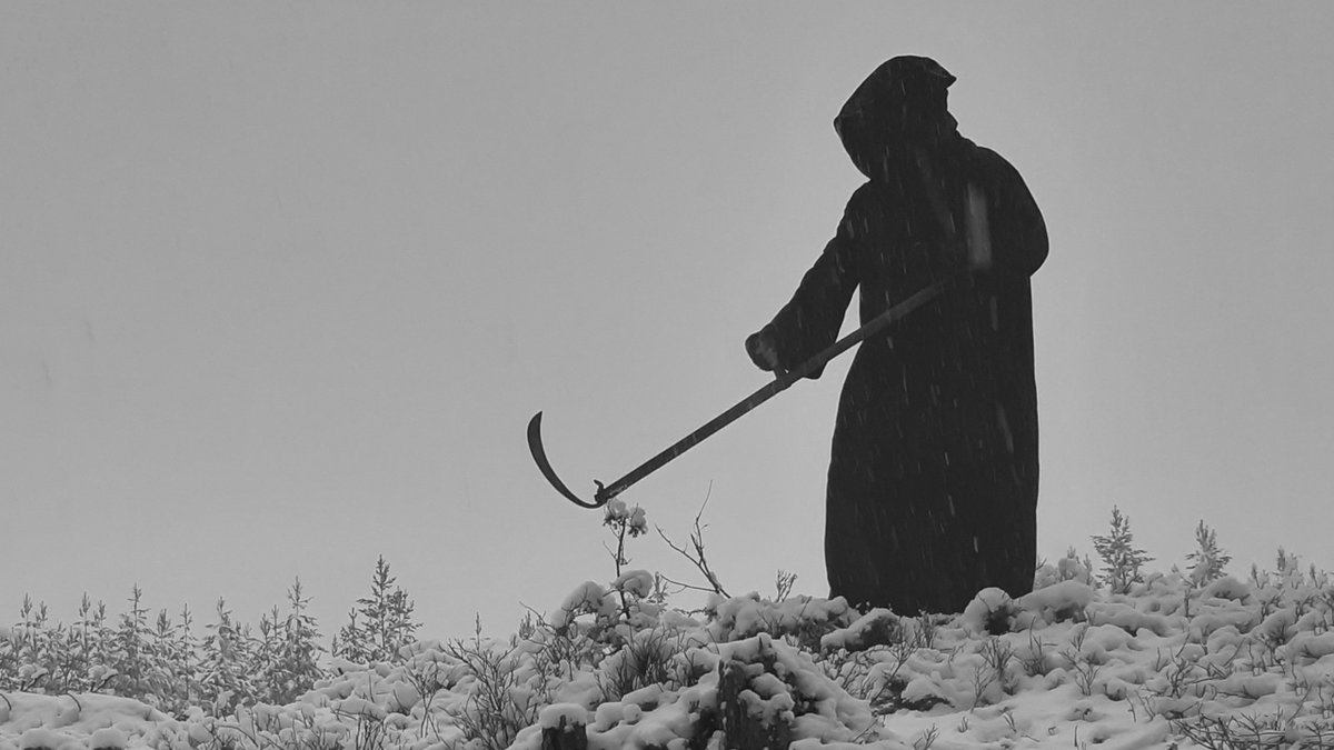 bmpromotion666's tweet photo. Lifvsleda - Black Metal from Sweden. #blackmetal #blackmetalpromotion #swedishblackmetal #lifvsleda #regainrecords #shadowrecords
Album Premiere: https://t.co/9KvQB35Z6D https://t.co/eDpM4kxLA7