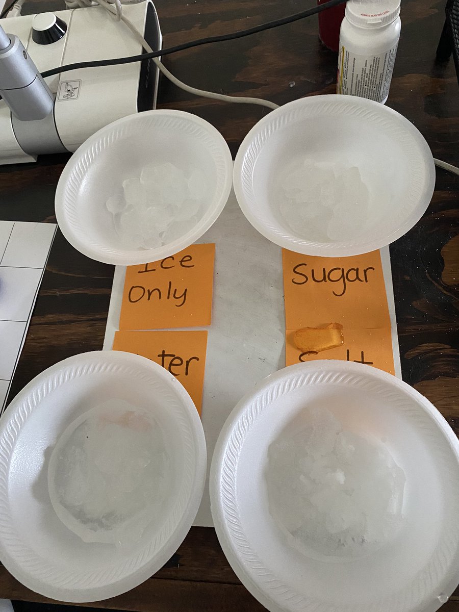 ColtsArroyo2's tweet photo. We are going through the steps of the Scientific Method by conducting an experiment today for Science! I loved hearing my students discuss their observations. #NISDBackTogetherBetter #kfeproud @NISDFranklinES https://t.co/Lhdi62a5O6