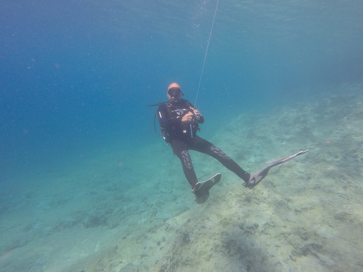 diving_seals's tweet photo. What's your #Diving plan for tomorrow?🌊

#underwater #scubadiving #PicOfTheDay #scubaingreece #greece https://t.co/5UFqnupvtF