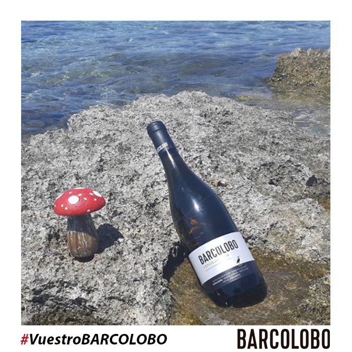 Así damos nosotros la bienvenida al otoño 😎

¡Gracias a todos nuestros seguidores por compartir con nosotros sus fotos de este verano con los vinos BARCOLOBO! 🍷