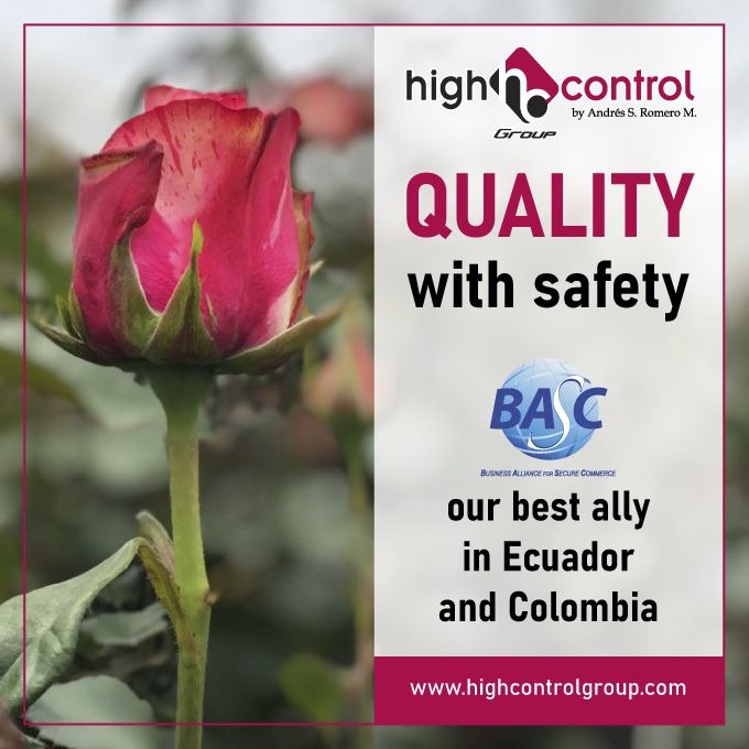 highcontrol's tweet image. #HighControlGroup is certified by #BASC #Ecuador and #Colombia. Our company complies with #Security #Safety standarts in internal processses + while manipulating #FreshCutFlowers during every #QualityControl

Working with us is profitable,  beneficial, secure and safe.
#Quality