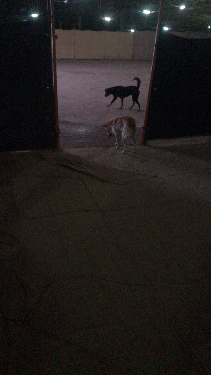 BhuviSoni's tweet photo. #Himachal_government #kangra_SDM #Covid_19 quarantine zone #BJPhimachal https://t.co/7To2BANKqI