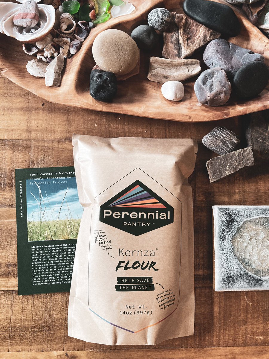 NoahSabich's tweet photo. The future just arrived in my mailbox. A bag of flour, you may ask? The innovation and solutions I like best are grounded in the elements. This is a perennial grain called kernza, pioneered by the regenerative ag leaders at @NatureAsMeasure and brought to us by @perennialpantry https://t.co/MUfvXgQDdF