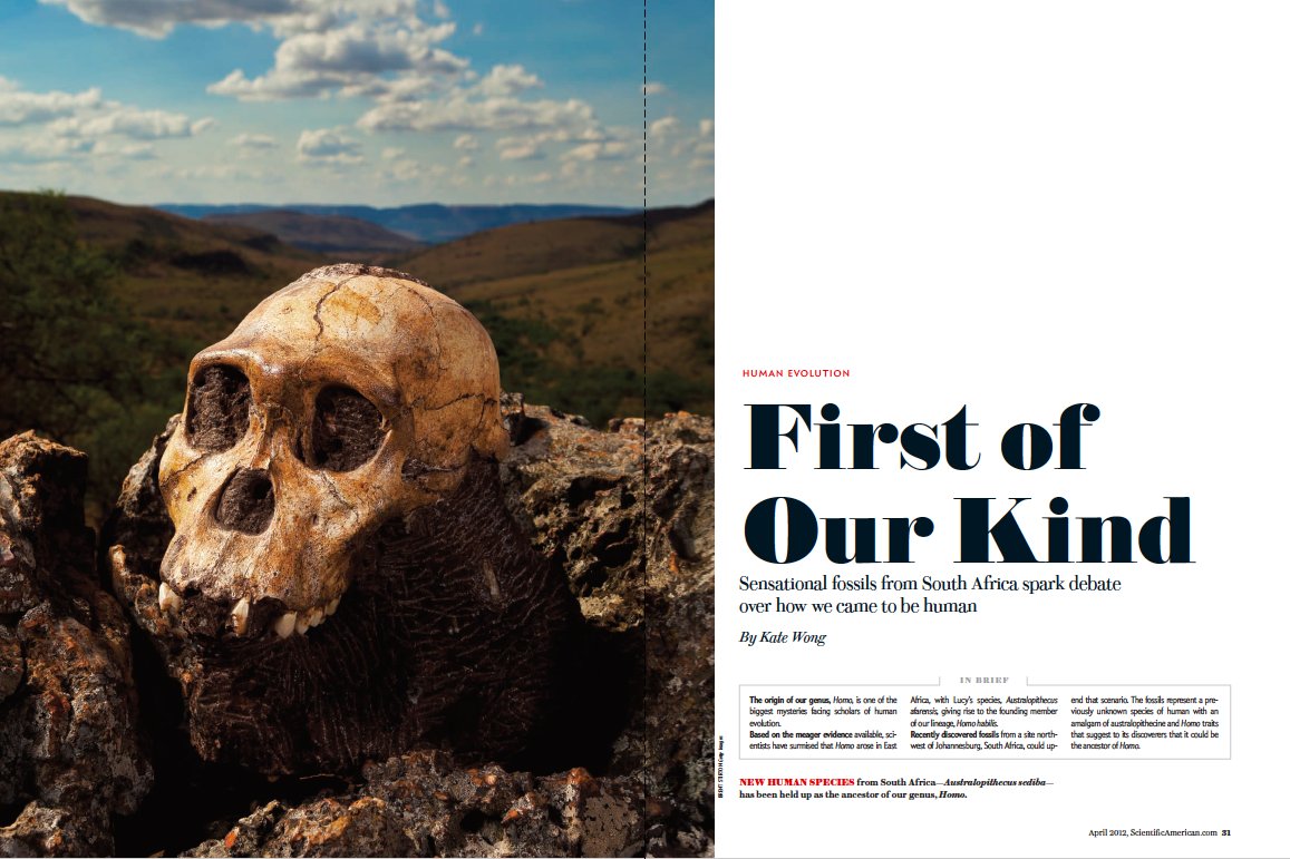 Indeed a key theme that has emerged over the past 20 years is that the human family tree is more like a bush, with lots of branches rather than just a few. In 2011 I went to South Africa to meet a spectacular addition to this bush: Australopithecus sediba  https://www.scientificamerican.com/article/first-of-our-kind/