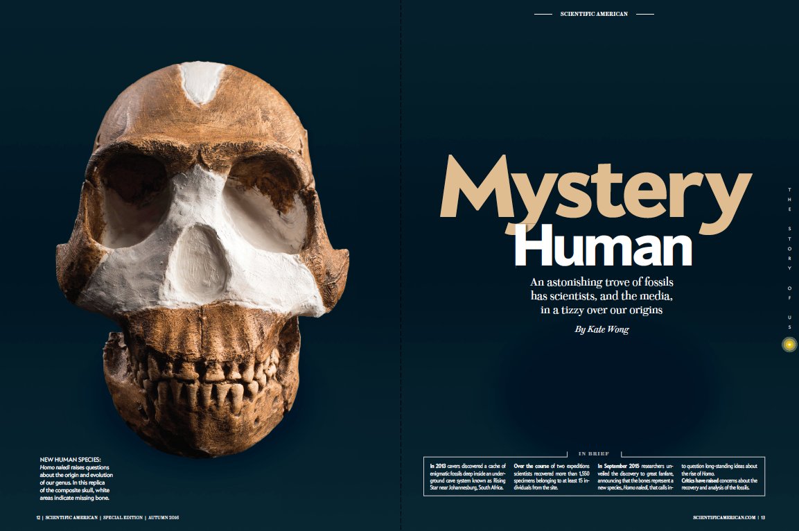 I returned to South Africa again in 2015 when another new species emerged from the Cradle of Humankind, Homo naledi. A mother lode of fossils found in a virtually inaccessible cave chamber deep underground—how the remains got there is a mystery  https://www.scientificamerican.com/article/controversy-and-excitement-swirl-around-new-human-species1/