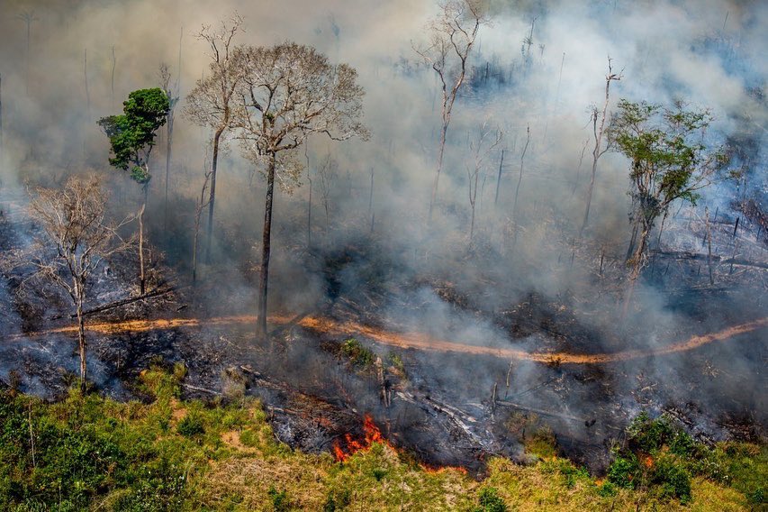 Diogotapuio's tweet photo. Sim! Queima a Amazônia! Sim! Queima o Cerrado! E o responsável por esses crimes é Jair Bolsonaro! #EmergenciaPantanal #AmazonOrBolsonaro foto: Cristhian Braga https://t.co/gA6KEHtdHf