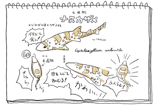 いっぺん生き物かわいい話しかしなくて済む世界に転生したい。 
