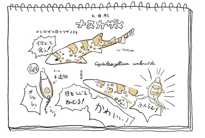 いっぺん生き物かわいい話しかしなくて済む世界に転生したい。 