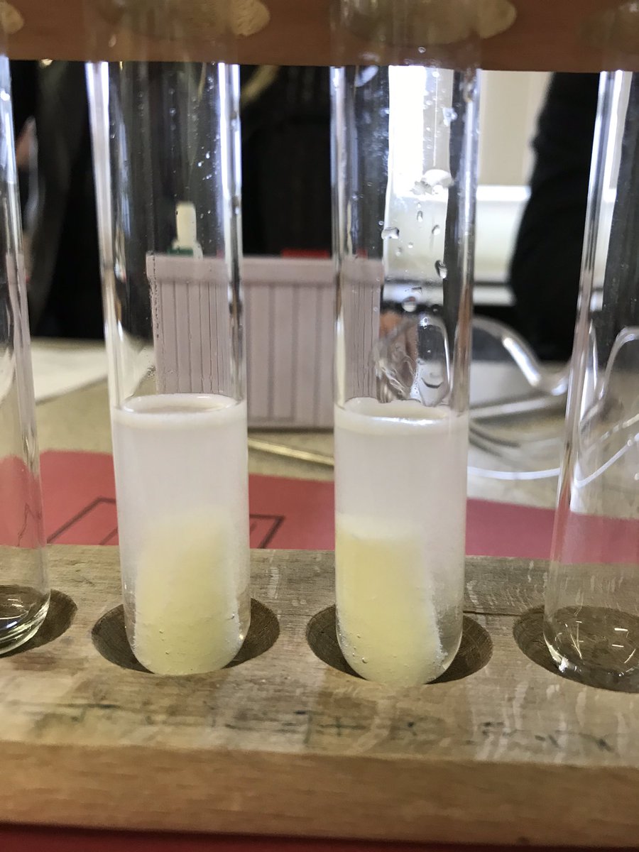 ArdAcadScience's tweet photo. N5 chemists continued with the wonderful world of reaction rates today. We looked at the decomposition of hydrogen peroxide using catalase from different sources. 🥔 🥕 🍎 #teamchemistry #morebubbles https://t.co/ZGD71McrW5