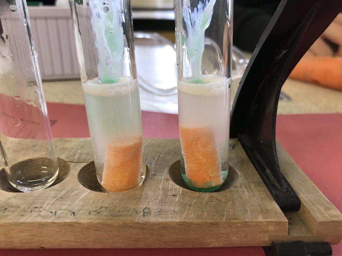 ArdAcadScience's tweet photo. N5 chemists continued with the wonderful world of reaction rates today. We looked at the decomposition of hydrogen peroxide using catalase from different sources. 🥔 🥕 🍎 #teamchemistry #morebubbles https://t.co/ZGD71McrW5