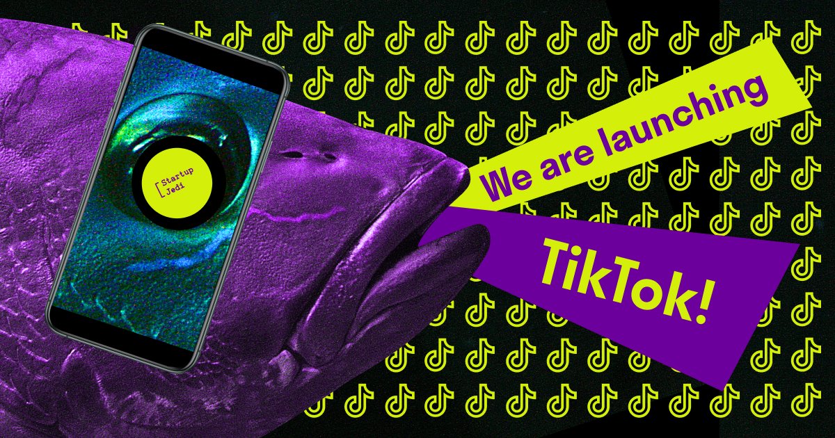 Rocket DAO tweet media