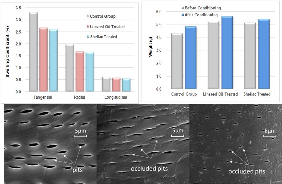 BioResJournal's tweet image. A #comparativestudy on the effects of linseed oil &amp;amp; shellac treatment on the #hygroscopicity, #dimensionalstability, &amp;amp; color changes of Chinese ash #wood.

ow.ly/nSNK50BnjX1
#BioResJournal #environmentallyfriendly #woodresearch #woodmodification