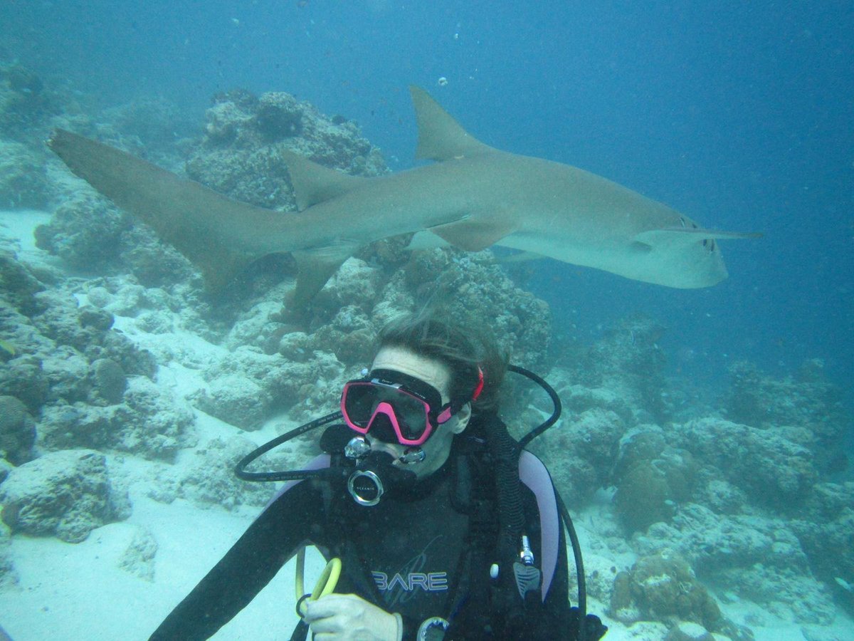Failing to spot a massive nurse shark (Ginglymostoma cirratum) behind me.  #soapbubbles