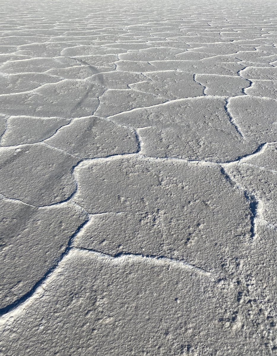 hockenberry52's tweet photo. Bonneville Salt Flats in Utah, home to multiple land speed records earning it the title.”The Fastest Place on Earth”. People come here to do one thing and one thing only, BREAK RECORDS. To my friends in education dealing with COVID keep breaking records...
#KeepBreakingRecords https://t.co/M5FuZ7JYuo