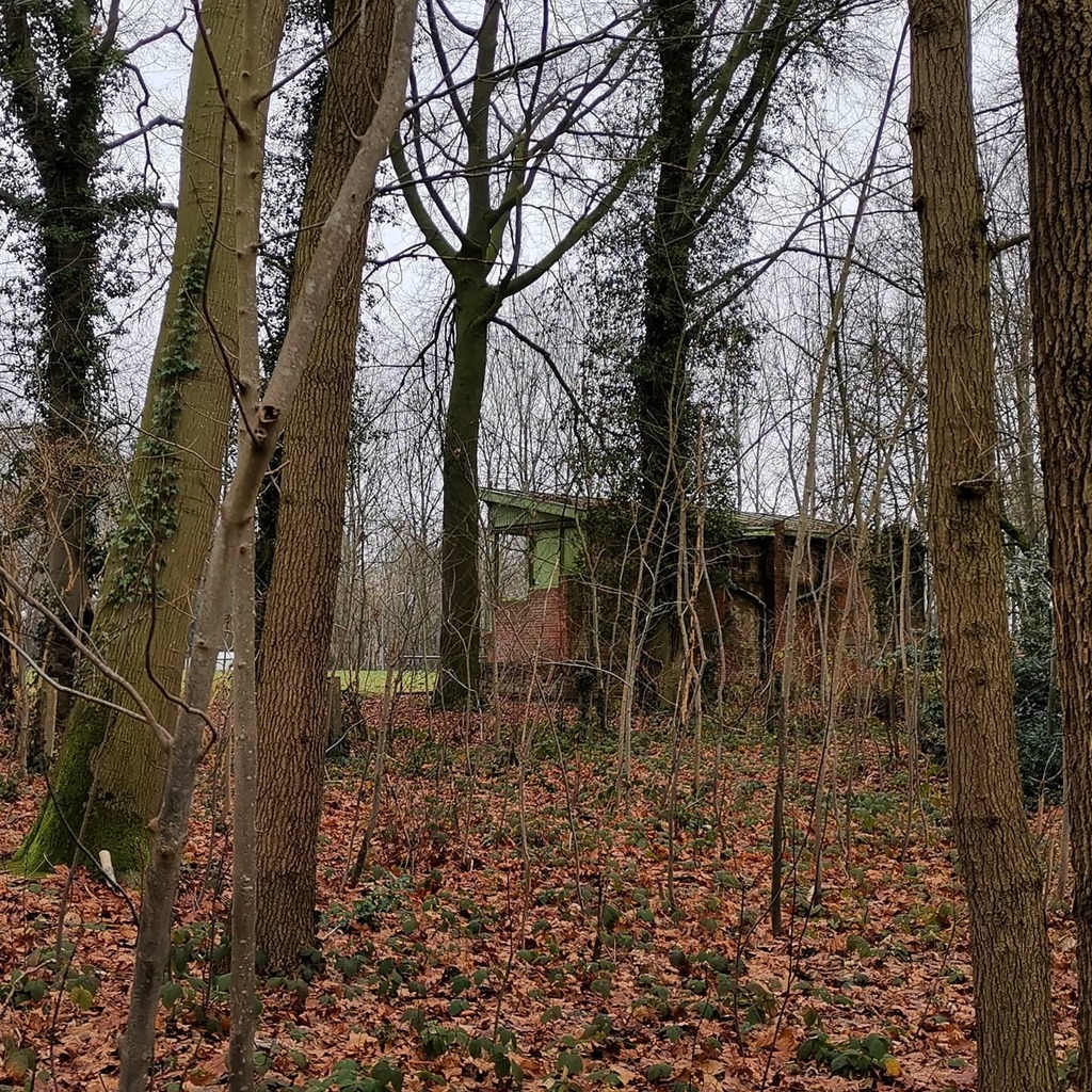 stadiongebod's tweet photo. The (decaying) stand at St Pietersveld (Wingene, Belgium) is a feast for the eyes of every tribuneswaffelaar.
#stpieter #wingene #Vlaanderen #Flanders #Flandersfields #Belgium #belgie #belgique #belgien🇧🇪 #groundhopping #delipidated #decay #whereisfootb… https://t.co/CB02MhFjMB https://t.co/JObSsrCEjv
