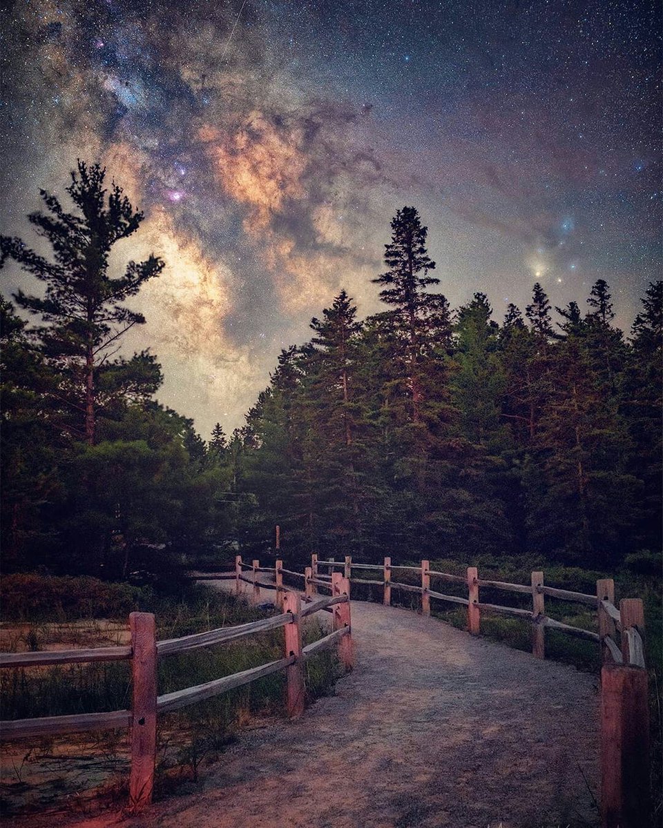 Choose only one master – nature. - Rembrandt 🍃 #natureawaits
⠀⠀⠀⠀⠀⠀
📷 ig: shelbydiamondstar 📍 #michigan
⠀⠀⠀⠀⠀⠀
⭐Discover ⭐Explore ⭐Live
⠀⠀⠀⠀⠀⠀
#northernmichigan #staywild #optoutside