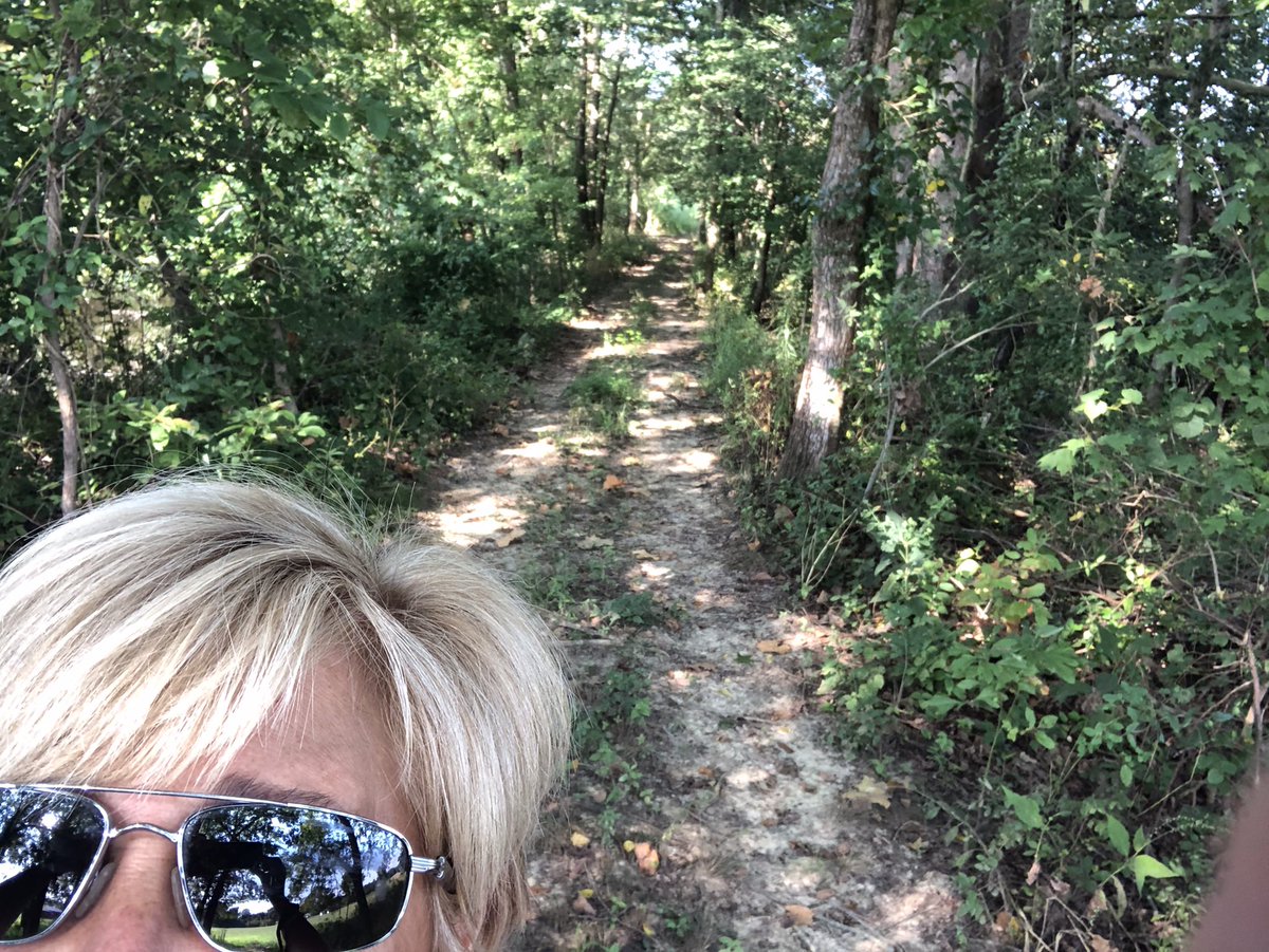 BrooksGoode's tweet photo. I always decompress walking through the woods to collect my trail cams....#neverwanttogohome #peace #quiet #nature #thankful https://t.co/VX4jRIm8FJ