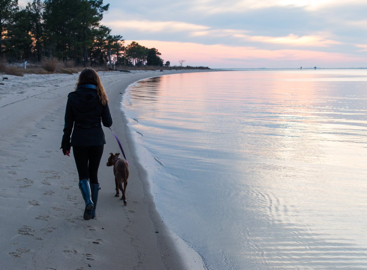 OpenSpaceMD's tweet photo. Beautiful photos from our partners on the Eastern Shore! RT @FunWicomico: Our favorite memory this summer was seeing our citizens (&amp; furry friends!) grab some fresh air, exercise and serenity at our parks!
@OpenSpaceMD #MDOpenSpaces https://t.co/vc6cgHIFLe https://t.co/QeN439fHzB https://t.co/xQ4G5gW2qQ